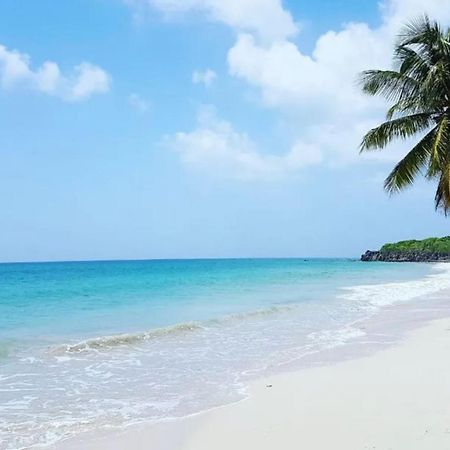 Les Pieds Dans L'Eau: Beachfront Retreat at Anse Caritan, Sainte-Anne Exterior photo