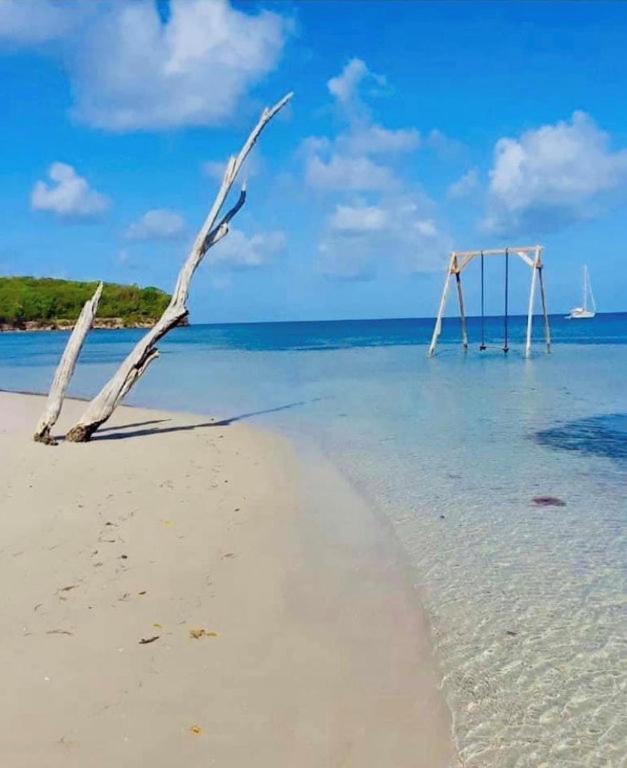 Les Pieds Dans L'Eau: Beachfront Retreat at Anse Caritan, Sainte-Anne Exterior photo
