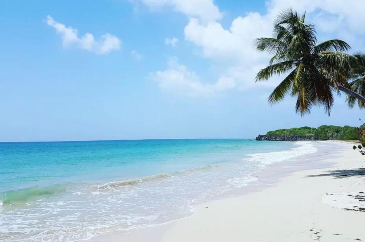 Les Pieds Dans L'Eau: Beachfront Retreat at Anse Caritan, Sainte-Anne Exterior photo