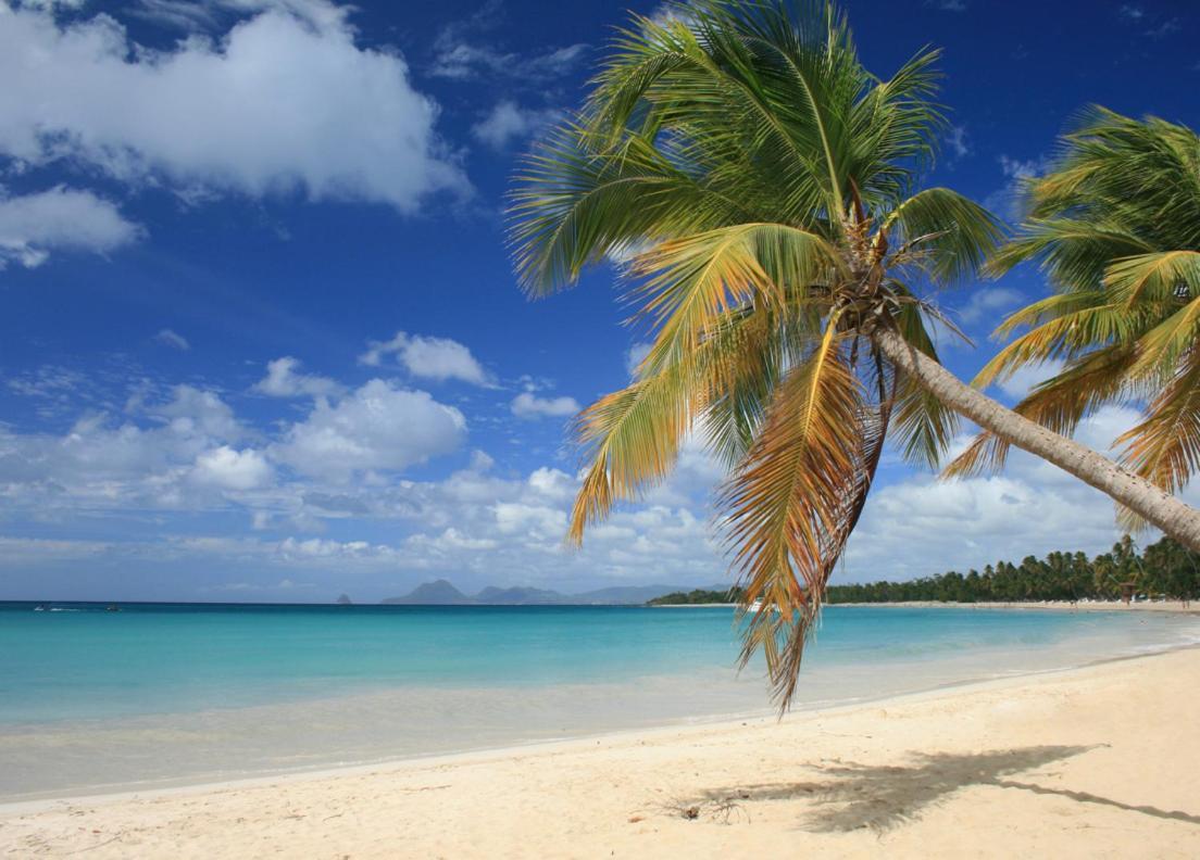 Les Pieds Dans L'Eau: Beachfront Retreat at Anse Caritan, Sainte-Anne Exterior photo